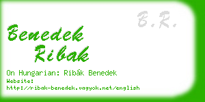 benedek ribak business card